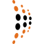 MEMBRE AFRINIC